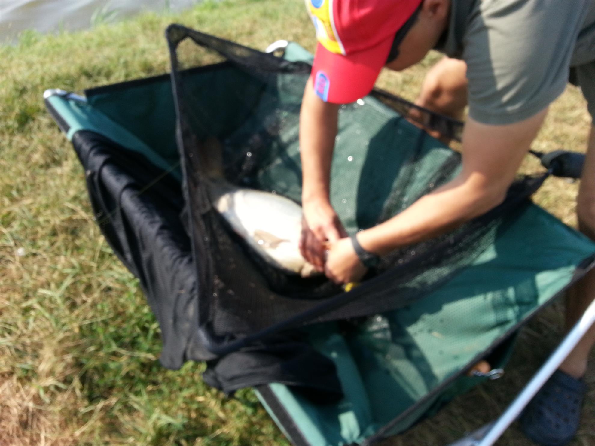 Moara Vlasiei 2 15 august 2014 - 20140815100317.jpg